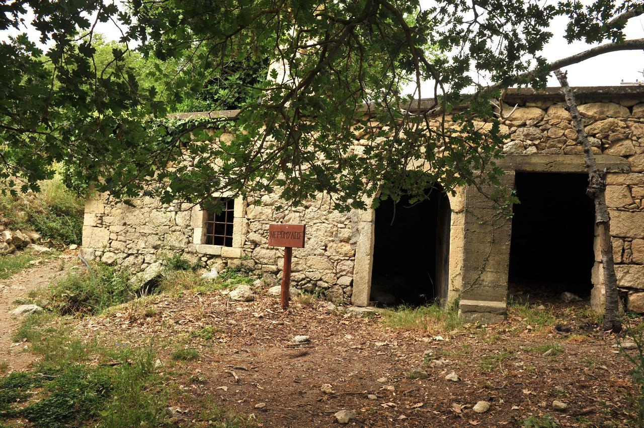 Villa Axenti Agios Thomas  Exterior photo